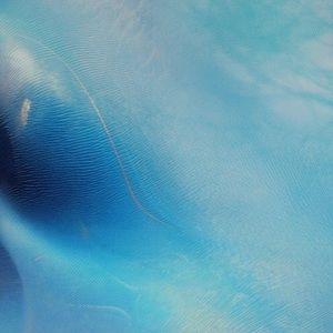 Meet your Posher, Robyn